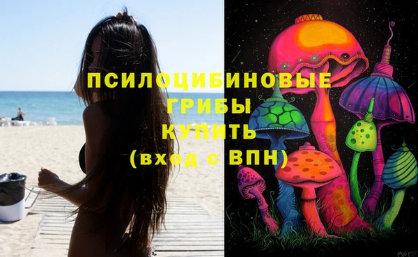 амф Арсеньев